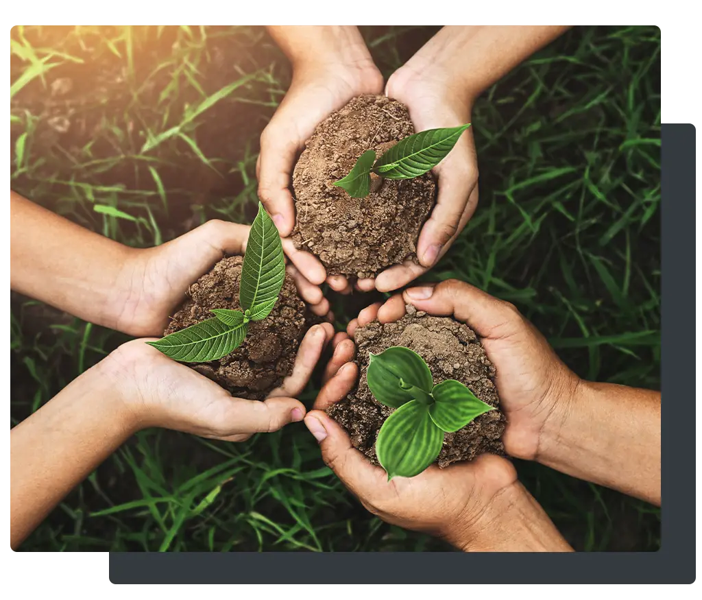 Environmental Policy